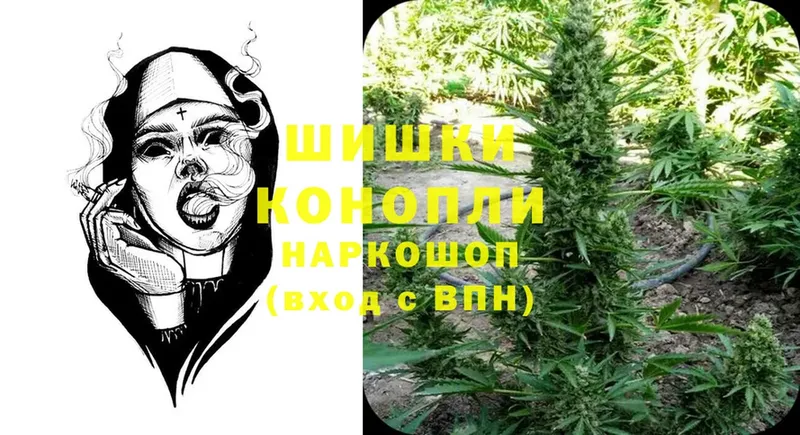 Канабис THC 21%  как найти   Приозерск 